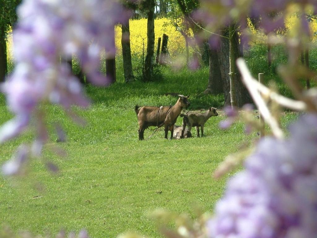 Maison Prairie Bonheur Bed & Breakfast Magny-les-Hameaux Room photo